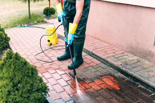 Best Solar Panel Cleaning  in Centrevle, IL