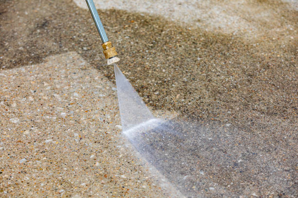Best Fleet Vehicle Washing  in Centrevle, IL