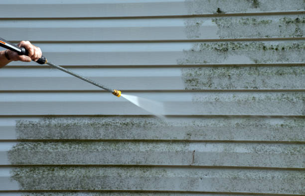 Best Fence Cleaning  in Centrevle, IL